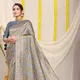 Grey__Royal Rajgharana Sarees